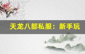 天龙八部私服：新手玩家容易犯的错误及避免方法
