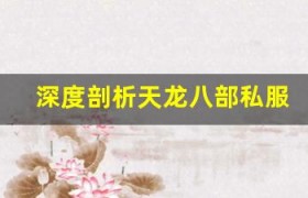 深度剖析天龙八部私服的社交系统，如何结交更多好友