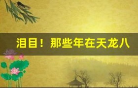 泪目！那些年在天龙八部私服里错过的爱情与兄弟情