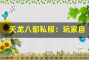 天龙八部私服：玩家自制的游戏攻略视频，超详细