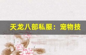 天龙八部私服：宠物技能搭配攻略，让宠物发挥最大威力