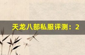 天龙八部私服评测：2025 年最新私服推荐，哪个最稳定？