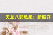 天龙八部私服：新服开启，老玩家回归的回归礼包大揭秘