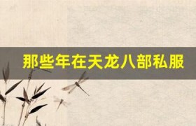 那些年在天龙八部私服里的疯狂团战，你还记得吗
