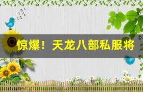 惊爆！天龙八部私服将推出转职系统，你想转什么职业