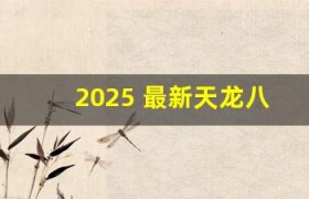 2025 最新天龙八部私服：上线即送满 V，神装无限爆！
