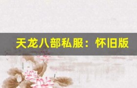 天龙八部私服：怀旧版上线，重楼装备、稀有宠物轻松拿！