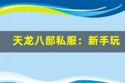 天龙八部私服：新手玩家如何快速适应游戏节奏