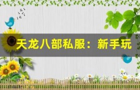 天龙八部私服：新手玩家如何快速适应游戏节奏